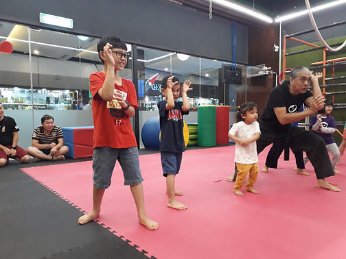 Lil Ninjas Dojo